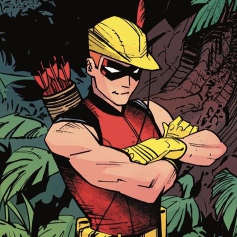 Roy Harper Young Justice, Roy Harper Icons, Roy Harper Dc, Batman Panels, Red Arrow Dc, Arsenal Dc, Arrow Roy Harper, Arrow Comic, Batman Detective