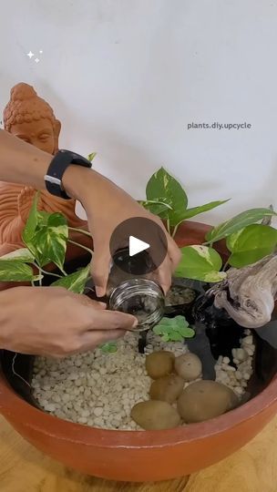 Inverted Aquarium, Aquascape Diy, Underwater Ecosystem, Plants Diy, Diy Aquarium, Nature Aquarium, Aquascape Aquarium, Diy Upcycle, Fresh Water Tank