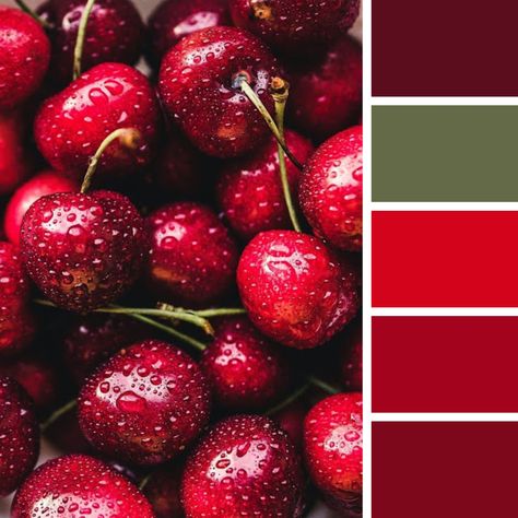 Food Coloring Chart, Colourful Clothing, Food Inspired, Red Food Coloring, Colour Inspiration, Color Pallets, Colourful Outfits, Cherry Red, Food Coloring