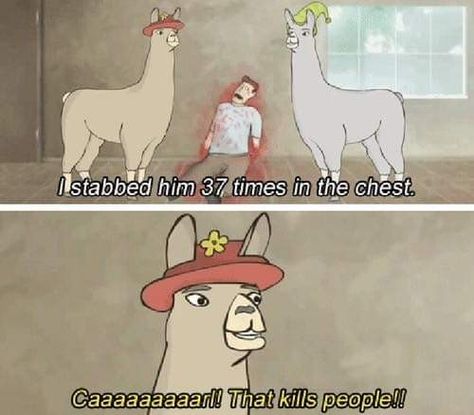 Llamas in hats Charlie The Unicorn, Hat Quotes, Llamas With Hats, Sports Memes, Kill People, The Unicorn, Best Funny Pictures, Reaction Meme, Meme Pictures