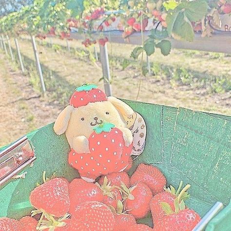 Cute Pompompurin, Cute Background Pictures, Strawberry Cute, Pastel Kidcore, Soft Kidcore Aesthetic, Danish Pastel Aesthetic, Soft Kidcore, Kidcore Aesthetic, Cute Tumblr Wallpaper