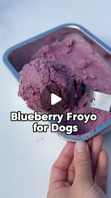 Yogurt For Dogs, Dog Ice Cream, Healthy Dog Treats Homemade, Healthy Dog Food Recipes, Healthy Dogs, Frozen Blueberries, Homemade Dog, Summer Treats, Frozen Treats