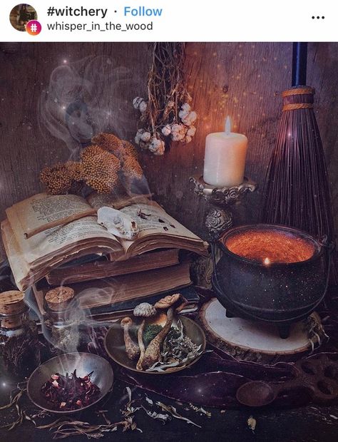 Autumn Witch, Witch Series, Witch Core, Cottage Witch, Witches Altar, Witch Doctor, Dark Cottagecore, Witch Magic, Season Of The Witch