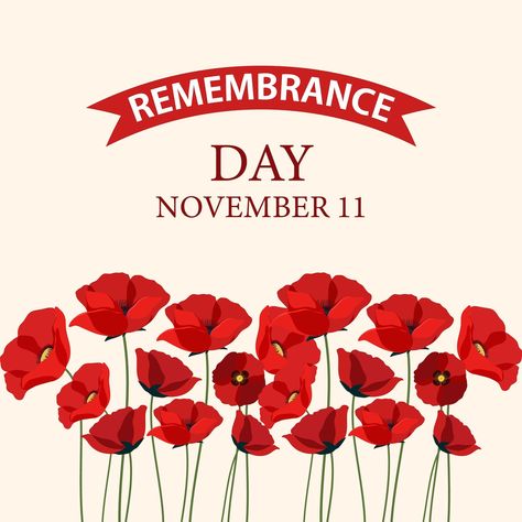 Remembrance Day Poster, Remembrance Day Wallpaper, Remberance Day, Remembrance Day Images, Remembrance Day Quotes, Remembrance Day Posters, Handsome Quotes, Good Morning Handsome Quotes, Morning Handsome