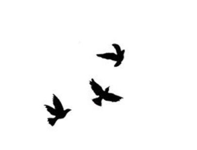 Three Swallows Three Black Birds Tattoo, Bird Silhouette Tattoos For Women, Three Bird Tattoos For Women, Three Doves Tattoo, Three Bird Tattoo, Small Bird Tattoo Ideas, Bird Tattoo Collarbone, Three Little Birds Tattoo, 3 Birds Tattoo