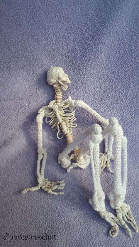 Crochet an Anatomically Correct Skeleton – FREE Pattern Includes All 206 Bones, 1/5th Size Scale Model! | KnitHacker 206 Bones, Crochet Skull, Halloween Crochet Patterns, A Skeleton, Halloween Crochet, Diy Crochet Projects, Crochet Hook Sizes, Crochet Cat, Crochet Techniques