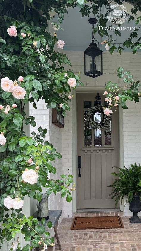 Transform your entrance with fragrant, colourful roses! Plant pots on each side of the doorstep for a formal, inviting look. Or, create real impact by training a climber up the wall.   Top tip: opt for roses with fewer thorns for tighter entranceways.  #davidaustinroses #gardeninspiration Roses Growing Up House, Climbing Roses Front Porch, Roses In Front Of House, Roses On Fence, Roses In Pots, Front Garden Ideas Driveway, Rose Hedge, Austin Garden, Garden Ideas Driveway