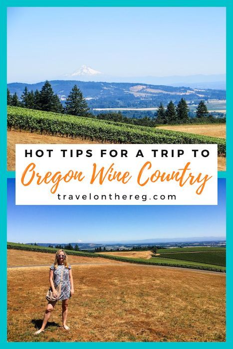 Oregon Coast Roadtrip, Oregon Wineries, Oregon Wine Country, Wine Country Travel, Oregon Road Trip, Wine Trail, Willamette Valley, Wine Travel, Oregon Travel