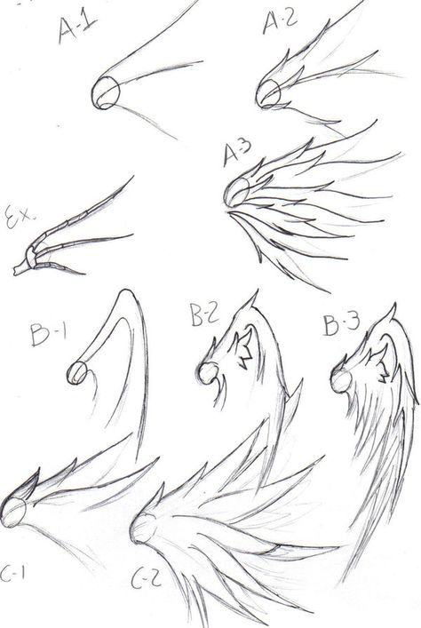 wing drawing tips by freddyfrijolero on DeviantArt Wing Drawing Reference, Wings Drawing Easy, Angel Wing Drawing, Natural Reference, How To Draw Wings, Draw Wings, Wings Sketch, Wing Drawing, Angel Wings Drawing