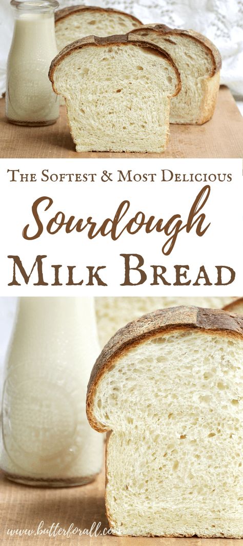 Sourdough Buttermilk, Honey Sourdough, Fermented Bread, Recipe Using Sourdough Starter, Buttermilk Bread, Sourdough Bread Starter, Sourdough Bread Sandwiches, Dough Starter, Sourdough Starter Discard Recipe