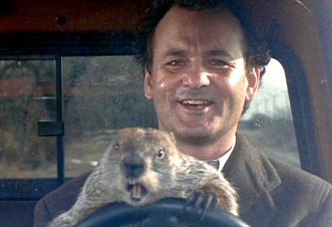 Don't drive angry. Drive Angry, Punxsutawney Phil, Happy Groundhog Day, Weather Predictions, Only In America, Big Lebowski, Bill Murray, Mercury Retrograde, Groundhog Day