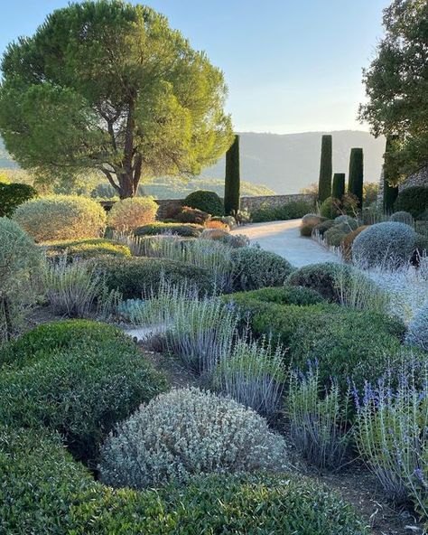 Mediterranean Garden Design, Roman Garden, Provence Garden, Tuscan Garden, Modern Landscape, Italian Garden, Mediterranean Garden, Front Garden, Outdoor Design