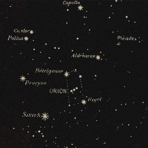 Lance Orion Zodiac, Orion Zodiac Academy, Zodiac Academy, Regulus Black, All The Young Dudes, Star Constellations, Black Families, Mischief Managed, Sirius Black