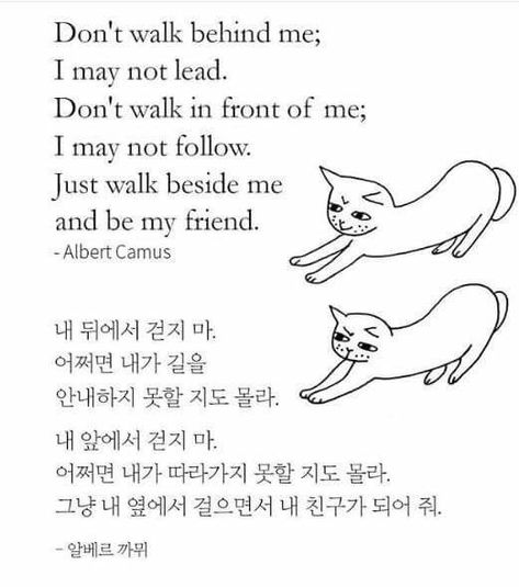 Korean Poetry, Korean Reading, Korea Quotes, Korean Grammar, Learning Korean Grammar, Korean Text, Korean Study, Learn Korean Alphabet, Easy Korean Words