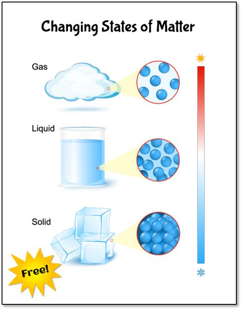 What is condensation and where does it come from? This free Condensation Investigation is a great way for kids to answer those questions and learn about the water cycle! Changing States Of Matter, State Of Matter, The Water Cycle, Primary Science, Matter Science, Science Notebooks, Interactive Science Notebook, States Of Matter, High School Science