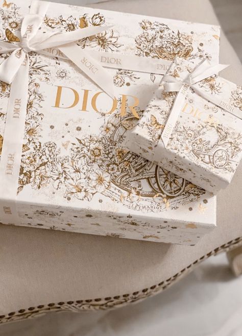 Dior Ribbon, Dior Gift, Luxury Packaging Design, نباتات منزلية, Storage Decor, Gift Box Design, 카드 디자인, Box Packaging Design, Packing Design