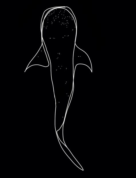 Whale Shark Outline Tattoo, Whale Shark Line Tattoo, Whale Shark Fine Line Tattoo, Whale Shark Line Art, Simple Whale Shark Tattoo, Shark Outline Tattoo Simple, Shark Outline Drawing, Whale Shark Outline, Whale Shark Tattoo Design