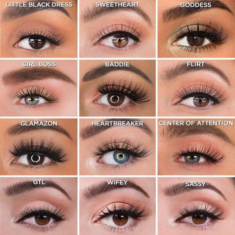 #Paralosojos Types Of Brown Eyes, Eyebrow Types, Type Of Lashes, Best Foundation For Oily Skin, Lash Collection, Eye Makeup Glitter, Make Up Diy, Natural Fake Eyelashes, Eye Makeup Images