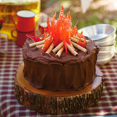 Campfire Cake, Indoor Kids, Camping Party, Camping Theme, Campfire, Chocolate Cake, Kids Party, Birthday Party, Camping