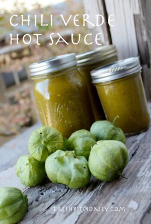 A chili verde hot sauce to take your recipes to a new level Tomatillo Hot Sauce, Tomatillo Hot Sauce Recipe, Horderves Appetizers, Fresno Chili, Tomatillo Sauce, Chili Verde, Homemade Hot Sauce, Verde Sauce, Salsa Guacamole