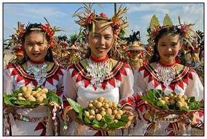 Lanzones Festival - Camiguin Island, Philippines Lanzones Festival, Philippine Festivals, Camiguin Island, Philippines Tourism, Sweet Fruit, Bountiful Harvest, Thanksgiving Celebration, Make An Effort, Street Dance