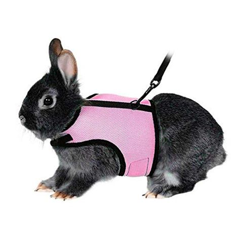 Rabbit Harness, Best Cat Harness, Bunny Harness, Bunny Supplies, Small Animal Treats, Rabbit Breeds, Large Rabbits, Pink Amazon, Small Rabbit