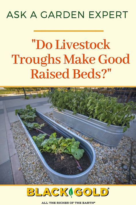 Stock Tank Gardening, Garden Raised Beds, Garden Troughs, Raised Bed Garden Design, Vegetable Beds Raised, Raised Vegetable Gardens, Raised Garden Planters, Garden Boxes Raised, Vegetable Garden Raised Beds