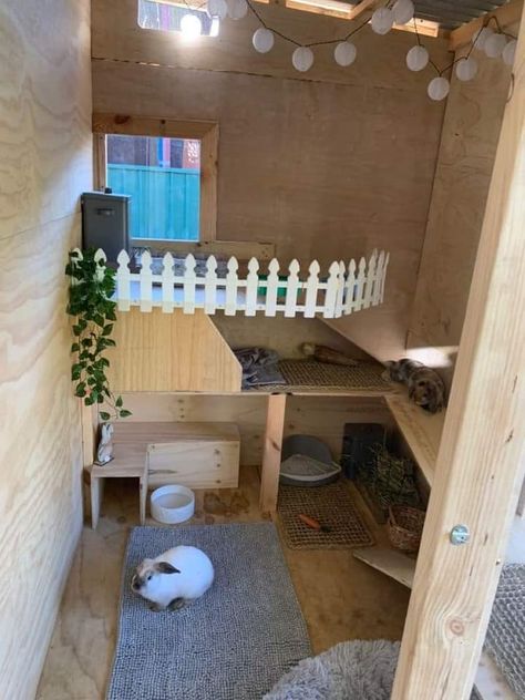 Shed Rabbit Enclosure, Rabbit Shed Setup, Under Stairs Rabbit House, Rabbit Wendy House Ideas, Flemish Giant Enclosure, Large Outdoor Rabbit Enclosure Diy, Diy Rabbit Castle, Rabbit Climbing Ideas, Rabbit Shed Ideas Outdoor