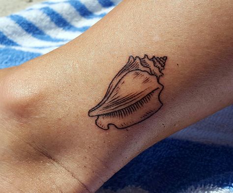 My Key West Conch Shell Moana Shell Tattoo, Magic Conch Shell Tattoo, Conk Shell Tattoos, Traditional Conch Shell Tattoo, Queen Conch Shell Tattoo, Olive Shell Tattoo, Tiny Conch Shell Tattoo, Horse Conch Shell Tattoo, Small Conch Shell Tattoo