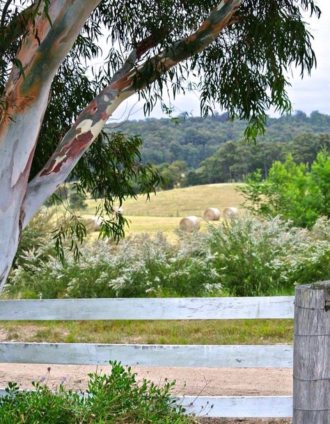 Australian countryside Farm Australia, Australian Countryside, Australian Landscapes, Australian Country, Australian Farm, Australian Landscape, Australian Bush, Reference Photos, Country Life