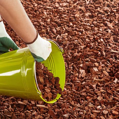 10 Seriously Useful Gardening Tips Every Beginner Needs to Know Wood Chip Mulch, Tree Mulch, Rubber Mulch, Long Blooming Perennials, Mulch Landscaping, Soil Conditioner, Orchid Bark, Organic Mulch, Plant Tags