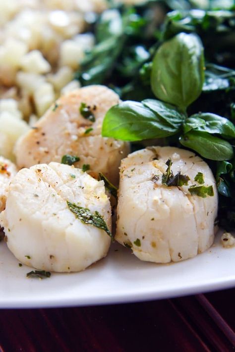 One Pot Steamed Garlic and Herb Scallops With Veggies Cooking Scallops, Dinners Under 500 Calories, How To Cook Scallops, Date Night Recipes, Scallop Recipes, Garlic Recipes, Recipe Board, Garlic Herb, 500 Calories