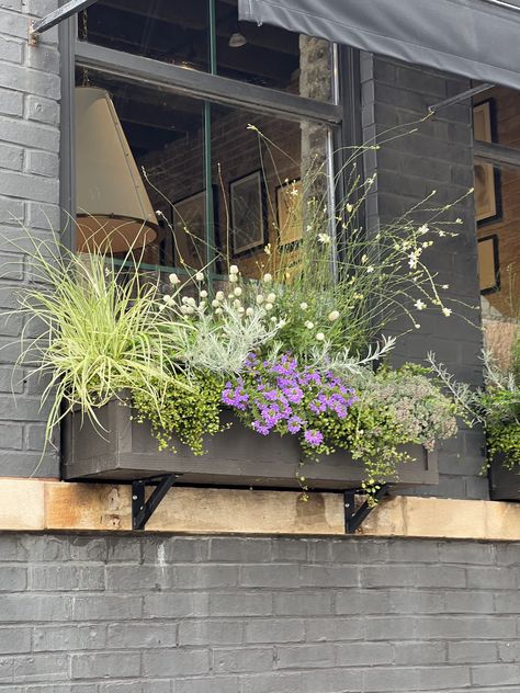 Balcony Flower Boxes Ideas, Window Box Planting Ideas, Window Pots, Balcony Planter Boxes, Balcony Flower Box, Window Box Plants, Window Box Garden, Balcony Flowers, Window Box Flowers