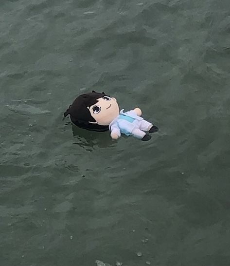 Oikawa Plushie, Oikawa Plush, Haikyuu Meme, 밈 유머, Haikyuu Memes, Oikawa Tooru, Haikyuu Funny, 웃긴 사진, Haikyuu Manga