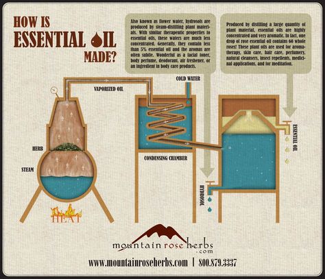 How is Essential Oil Made? Oil Distiller, Essential Oil Distiller, Mountain Rose, Mountain Rose Herbs, What Are Essential Oils, Making Essential Oils, Diy Essentials, How To Make Oil, Energy Generator