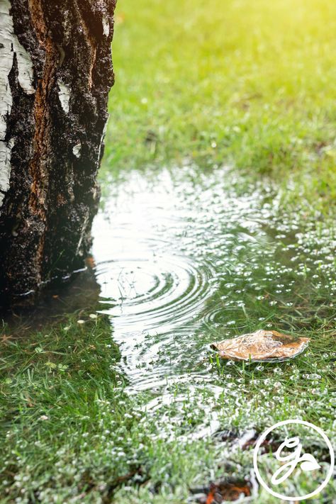 Water Diversion Landscaping, Runoff Landscaping, Runoff Water Solutions, Rain Runoff Landscaping, Rain Scaping Ideas, Water Runoff Solutions Landscaping Ideas, Poor Drainage Landscaping, Redirecting Water Runoff, Downspout Runoff Ideas