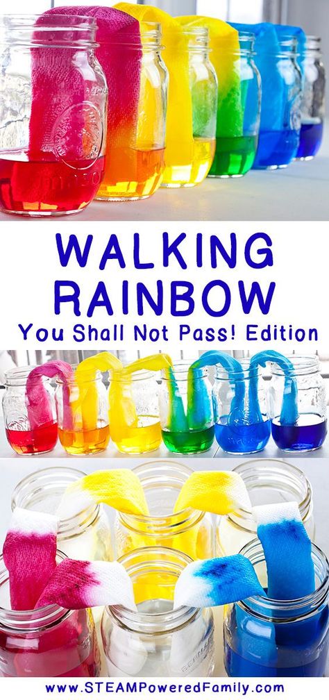 The Walking Rainbow science experiment should have been easy, but due to a mistake we discovered a fascinating capillary action and natural balance project. via @steampoweredfam Science Experiments For Children, Rainbow Science Experiment, Rainbow Science, Walking Rainbow, Rainbow Experiment, Capillary Action, Science Experience, Science Week, Summer Science