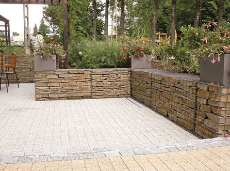 Marigolds In Garden, Gabion Retaining Wall, Gabion Baskets, Australian Native Garden, Gabion Wall, Front Fence, Modern Style House Plans, Stone Walls, Native Garden