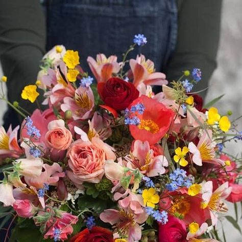 Rachel Siegfried on Instagram: "Olivia's bouquet, what fun, a mix of ranunculus, Icelandic Poppies, forget me nots and buttercups from the water meadow next to our farm. Finished off with some madder dyed silk ribbon and styled with a pair of @toast dungarees and the wall of course.
#maybridalbouquet #oxfordshireweddingflorist #grownontheflowerfarm #gardengatheredstyle" Buttercup Wedding Bouquet, Ranunculus Buttonhole, Buttercup Bouquet, Buttercup Ranunculus, Meadow Buttercup, Icelandic Poppies, Yellow Butterfly Ranunculus, Forget Me Nots, Dyed Silk