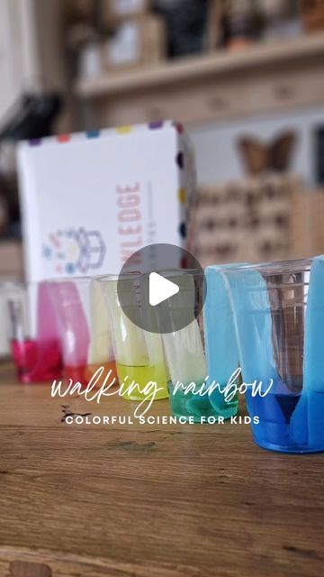 Let’s create the rainbow 🌈 Walking Rainbow Experiment, Walking Rainbow, Rainbow Experiment, Free Activities For Kids, Screen Free Activities, Homeschool Activities, Screen Free, Preschool At Home, Free Activities