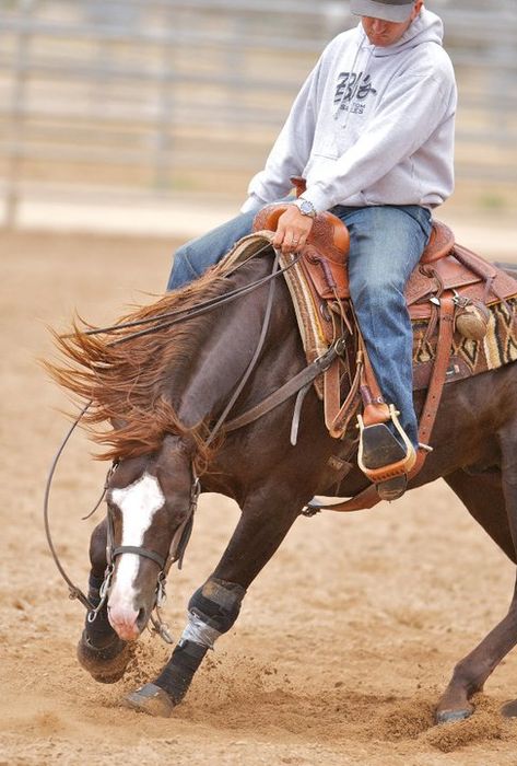 Reining Trainer Andrea Fappani Working Cow Horse, Ranch Riding, Horse Reining, Ranch Horse, Cowgirl Stuff, Western Stuff, Reining Horses, Quarter Horses, Cowgirl And Horse