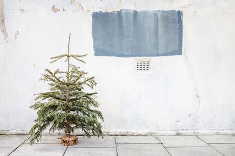 The Post-Holiday Blues Are Real — Here’s What to Do Post Holiday Blues, Clean Plates, Holiday Blues, Post Holiday, Homemade Face, You Better Work, Going On A Trip, Holiday Sales, Healthy Living