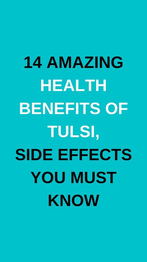 14 amazing health benefits of tulsi, side effects you must know Tulsi Benefits, Holy Basil, Health Wellness, Side Effects, Ayurveda, Health Benefits, Healthy Life, Health Tips, Basil