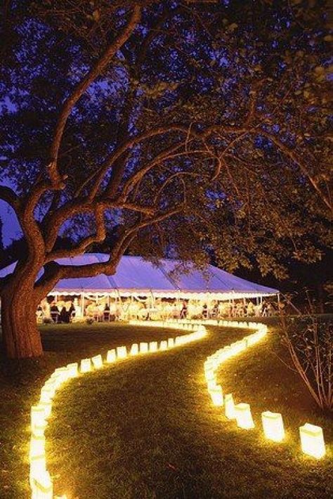 Outdoor Night Wedding, Outdoor Wedding Reception Decorations, Rapunzel Wedding, Tangled Wedding, Food Truck Wedding, Backyard Wedding Decorations, Diy Outdoor Weddings, Backyard Wedding Ceremony, Diy Backyard Wedding