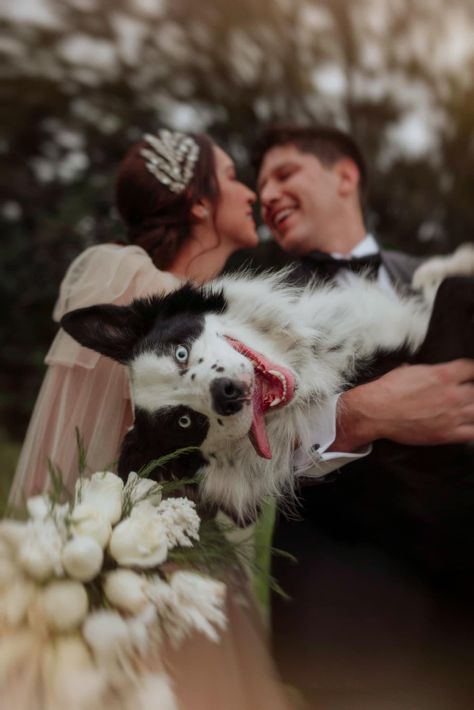 Dog Wedding Pictures, Dog Wedding Photos, Family Dog Photos, Creative Wedding Pictures, Wedding Photos Ideas, Winter Wedding Photos, Couple Engagement Pictures, Sea Wedding, Photos With Dog