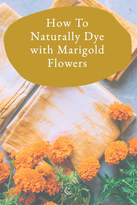 Dyeing With Marigolds, Flowers For Dyeing, Marigold Dye Natural, Flower Dyed Fabric, Marigold Dye, Mabon Ideas, Natural Dyes For Fabric, Dye Lab, Dye Garden