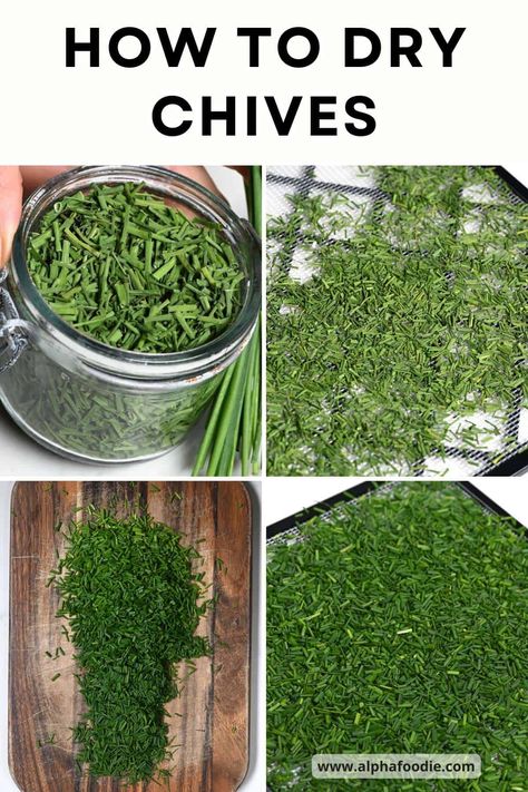 Drying herbs at home is an easy, budget-friendly way to extend the shelf life of your food – and this is my fool-proof guide to getting perfect dried chives. Herb Drying, Drying Chives, Basil Plant Indoors, Drying Fresh Herbs, Dehydrating Food Storage, Food Dehydration, Environmentally Friendly Living, Dehydrated Vegetables, Harvesting Herbs