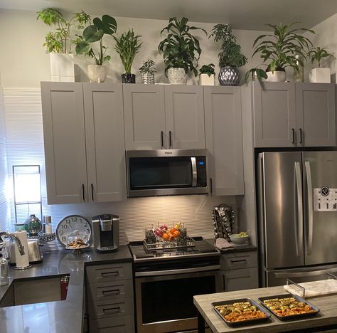 On Top Of Kitchen Cabinets Decor, Greenery Above Kitchen Cabinets, Plants Above Kitchen Cabinets, Decor Above Kitchen Cabinets, Kitchen Cabinets Modern, Decor Above Cabinets, Top Of Kitchen Cabinets, Decorating Above Kitchen Cabinets, Above Cabinets