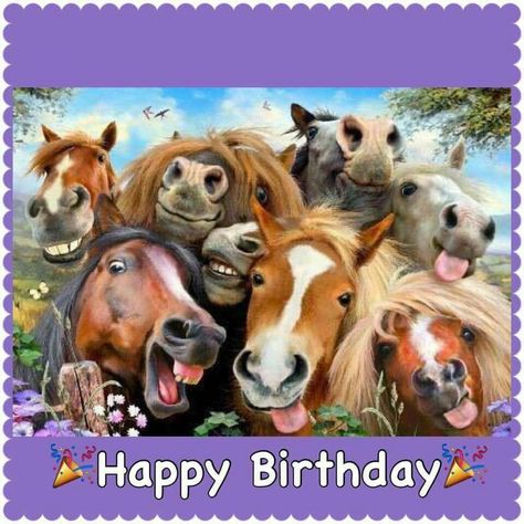 Auf Bing von www.pinterest.com gefunden Laughing Horse, Funny Horses, Horse Birthday, Happy Birthday Meme, Funny Horse, Birthday Meme, Happy B Day, Birthday Pictures, Happy Birthday Quotes