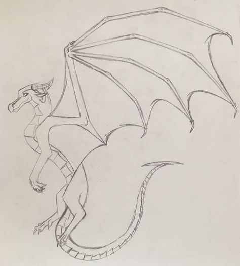 How To: Dragon Wings | Wings Of Fire Amino Folded Dragon Wings, Drawing Dragon, No Offense, Wings Drawing, Draw Two, Bird Wings, Dragon Wings, Drawing Stuff, Wings Of Fire